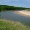 Brazos River--bordering the Kmiec homestead ranch in Chappell Hill, TX--background image of the website--note cattle on far end of the sandbar.  We are 100 miles from the Gulf of Mexico.