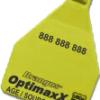 Brangus Optimaxx Beef Genetics  -- Brangus Age and Source Verified program to earn added value on your Brangus calves for beef export markets.  Use registered Brangus bulls to produce cattle that qualify for OptimaxX